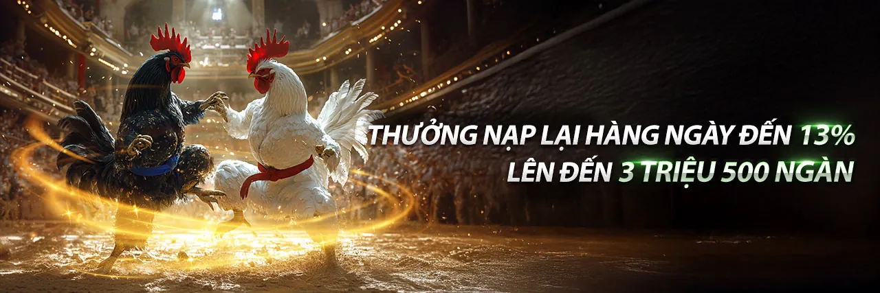 Sản phẩm giải trí đa dạng i9bet141 link mới
